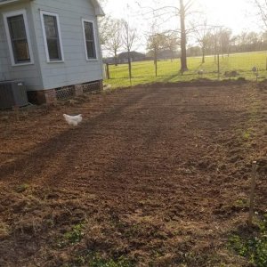 ground2.jpg
