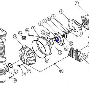 pool motor diagram.JPG