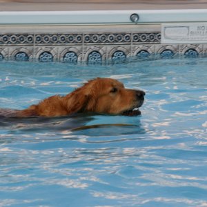 IMG_0142.JPG