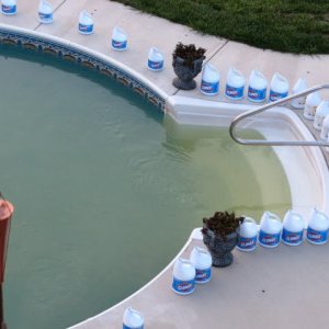 Bleach bottles  1.jpg