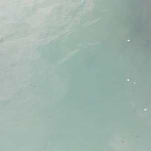 20180512_095011.jpg