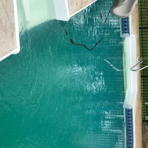 Pool pic.jpg