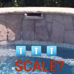 Pool Scale.jpg