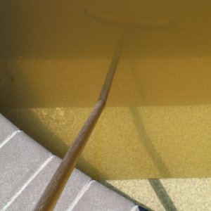 Pool Steps 1.jpg