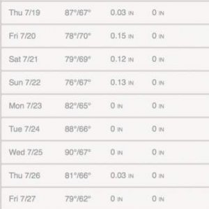 Itasca Month Weather - AccuWeather Forecast for IL 60143 2018-07-29 12-27-59.jpg