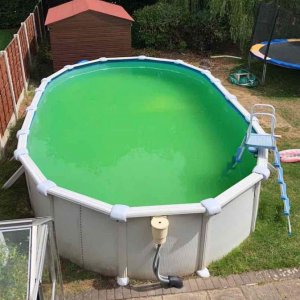 greenpool.jpg