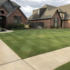 lawn1.jpg