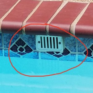 whatsthis-1.jpg