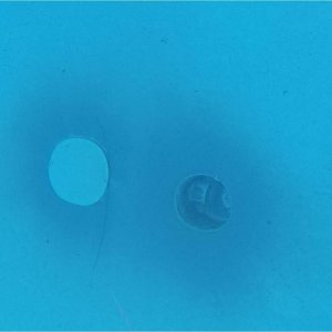 pool 2.jpg