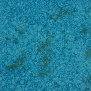 pool algae 1.jpg