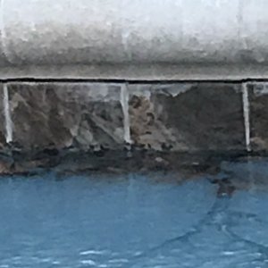 IMG_3771.jpg