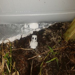 20190324_062349small.jpg