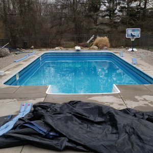 2019 pool open angle.jpg