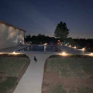 lights2.jpg
