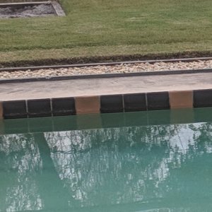 Pool with tile edge.jpg