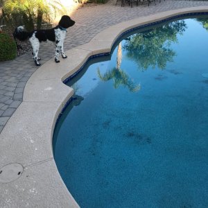 Pool 10.jpg