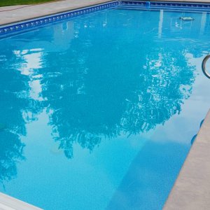 friends pool.jpg