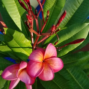20160922_090253.jpg