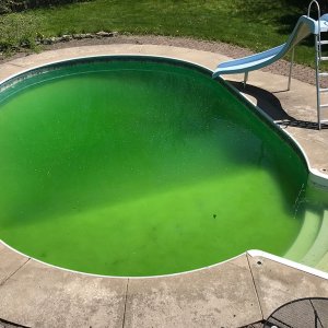 green-pool.jpg