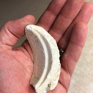 plaster 1.jpg