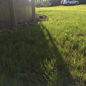 C5A43B42-4D3B-41B0-852E-01AFDA97711F.jpeg