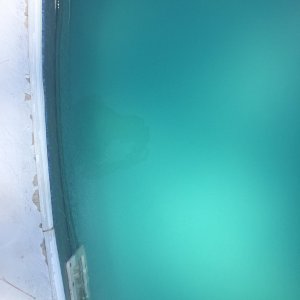 C8E28EF6-EE9D-4FF6-97F1-F0393FC96EC1.jpeg