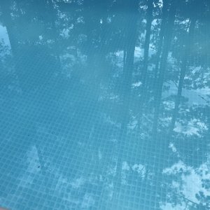 10368355-F3EA-4932-B837-9934394FF937.jpeg