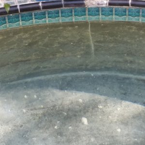 20190721_151751.jpg