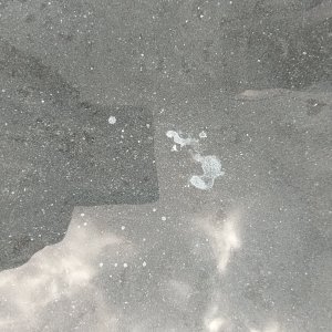 stains3.jpg