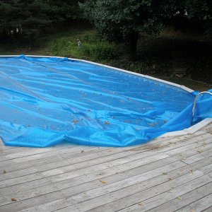 pool-fromdeck.jpg