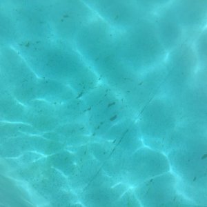 84208AC0-1D25-4E15-B9FE-2754C98B45D7.jpeg