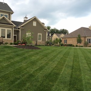 Backyard Pano3.JPG