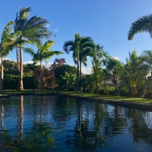 maui pool.JPG