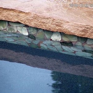 Pool-Cam 7-2019-12-08-15-40-10.jpg