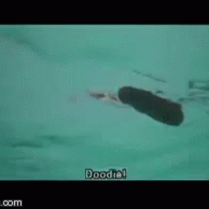 tenor.gif