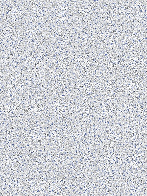 Crystal20Quartz-1.jpg
