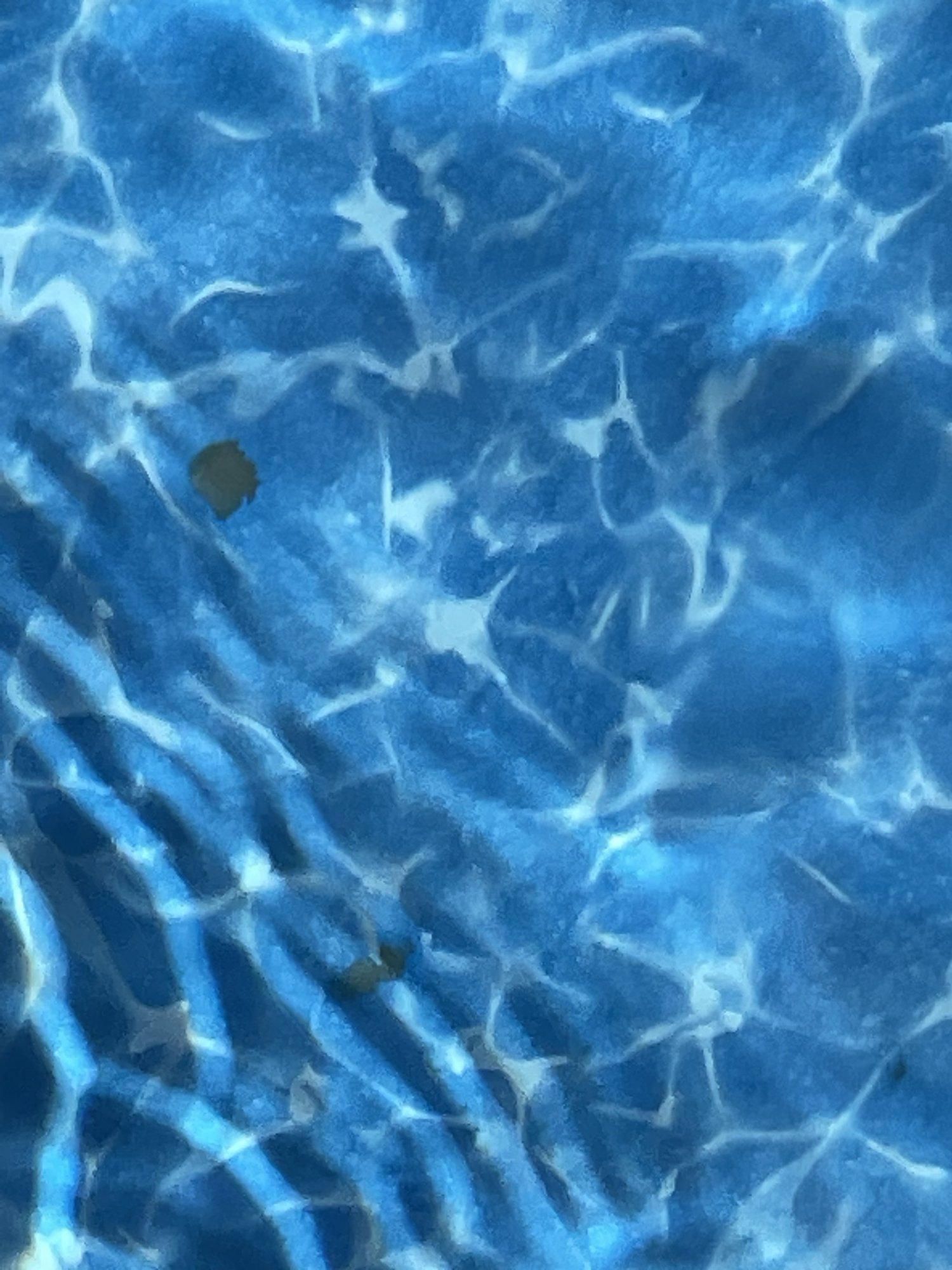 004D0882-10AE-4892-8DE2-78B768B700D2.jpeg