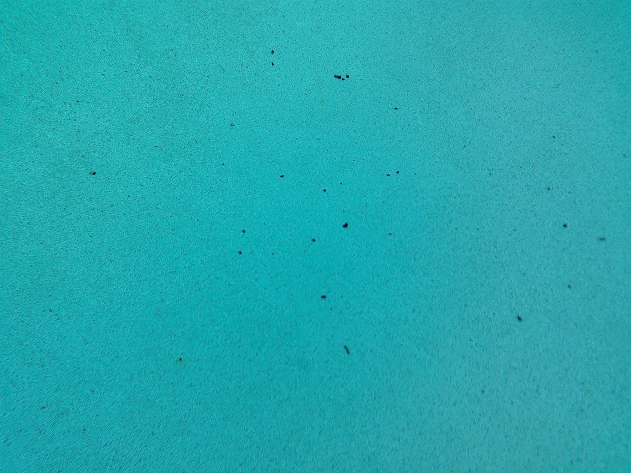 0121C5DB-5085-45A8-9F98-2373C37F8903.jpeg