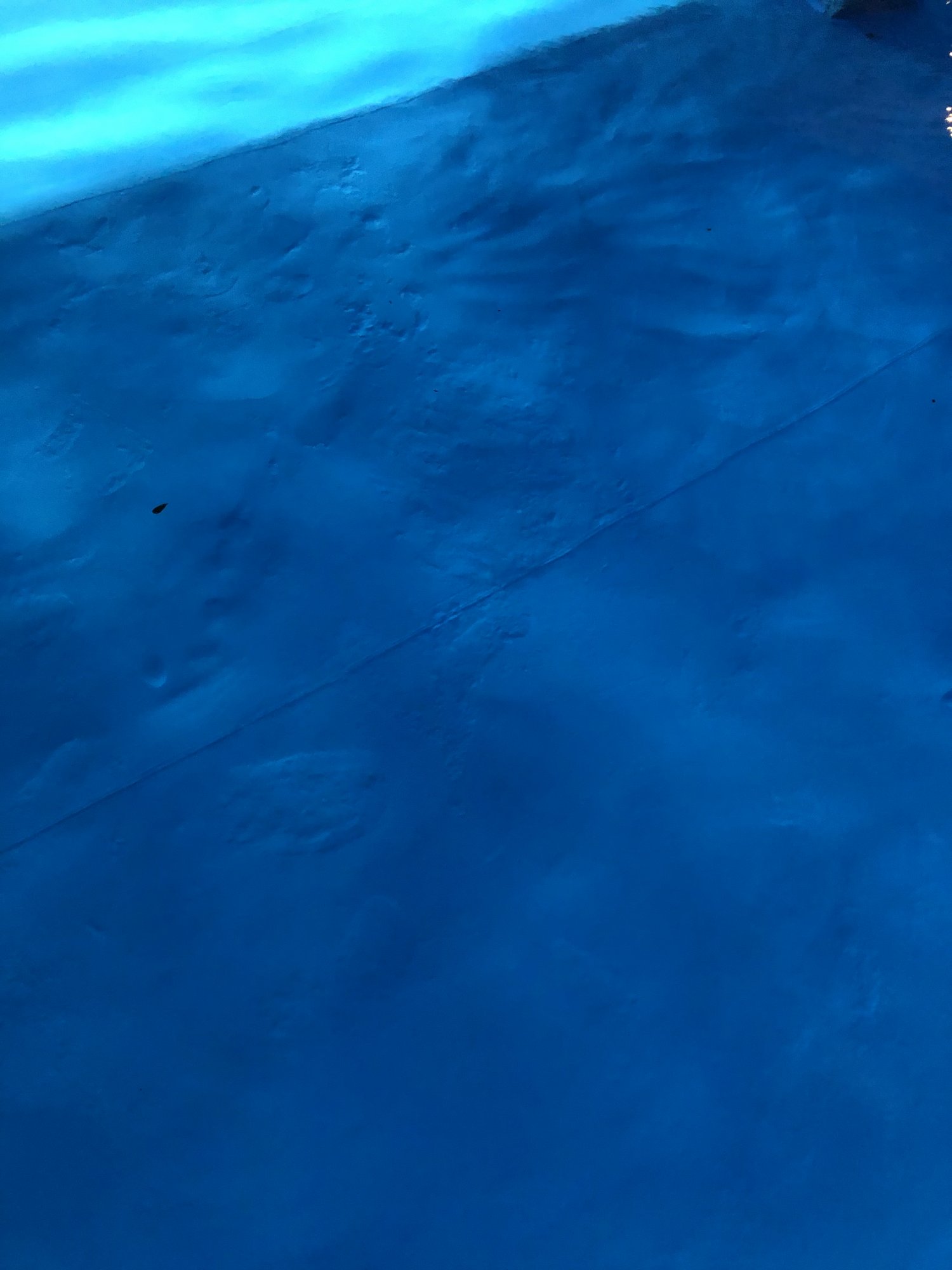 016ED04E-D870-4413-B1BB-0C0A65D11C26.jpeg