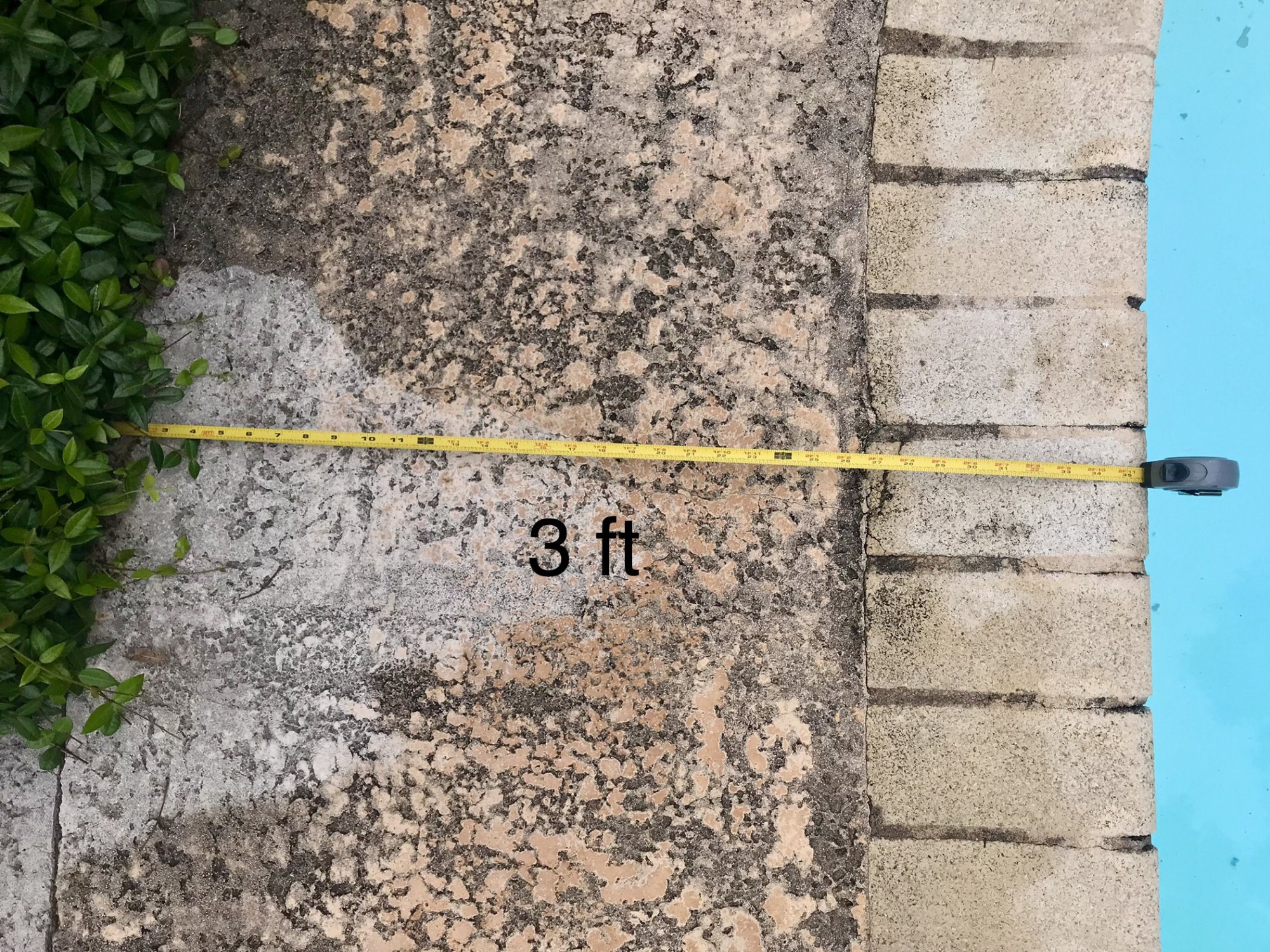 0231D210-7D1D-44CB-85F2-C7021F7F0FA6.jpeg
