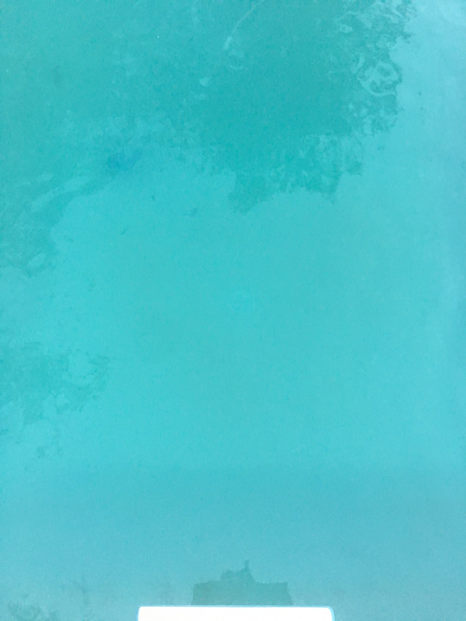 0273389A-D74B-4255-99D6-E65A64EBDAC5.jpeg