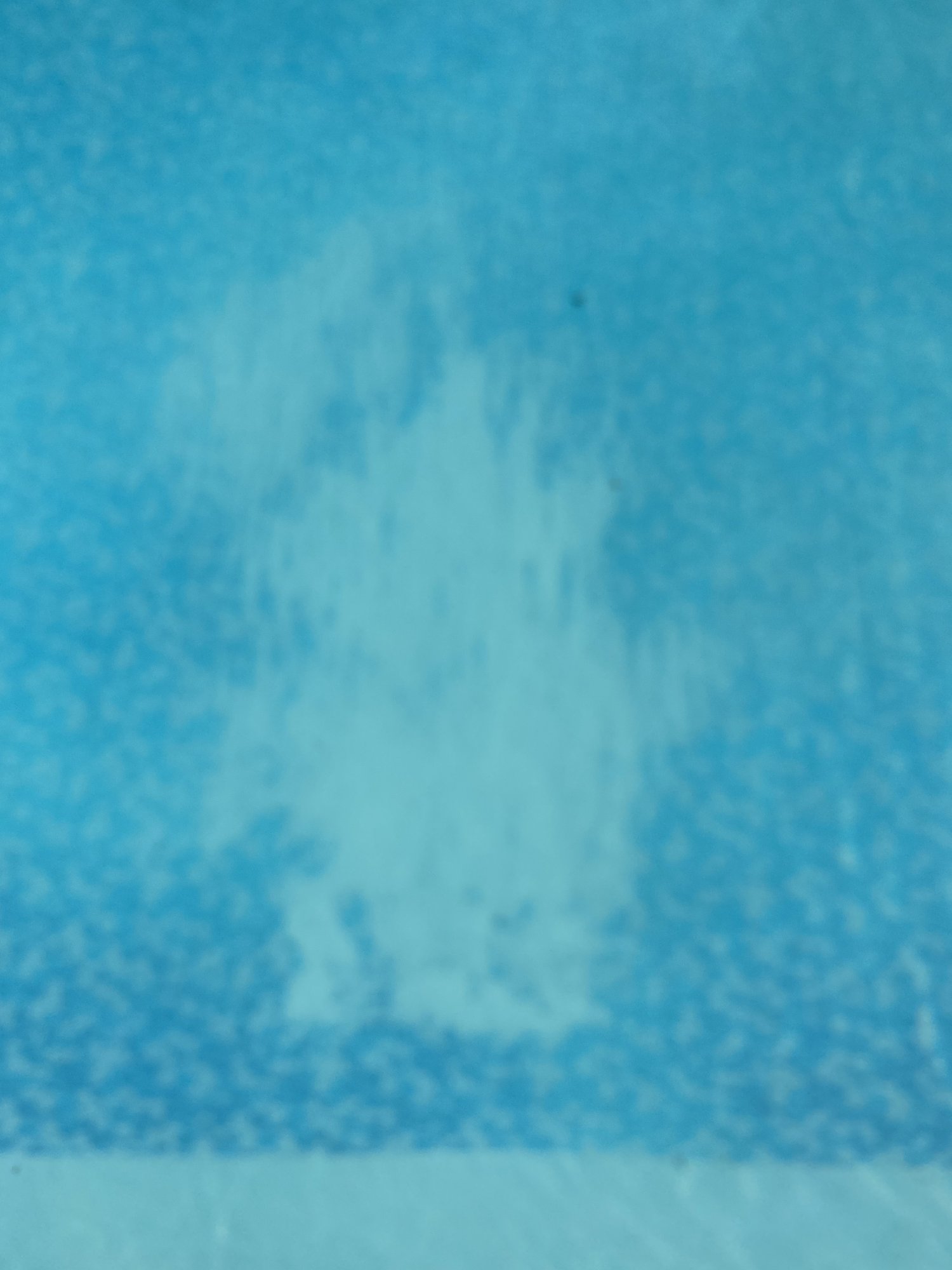 02CB64D5-742E-4711-8399-C64D63A50242.jpeg