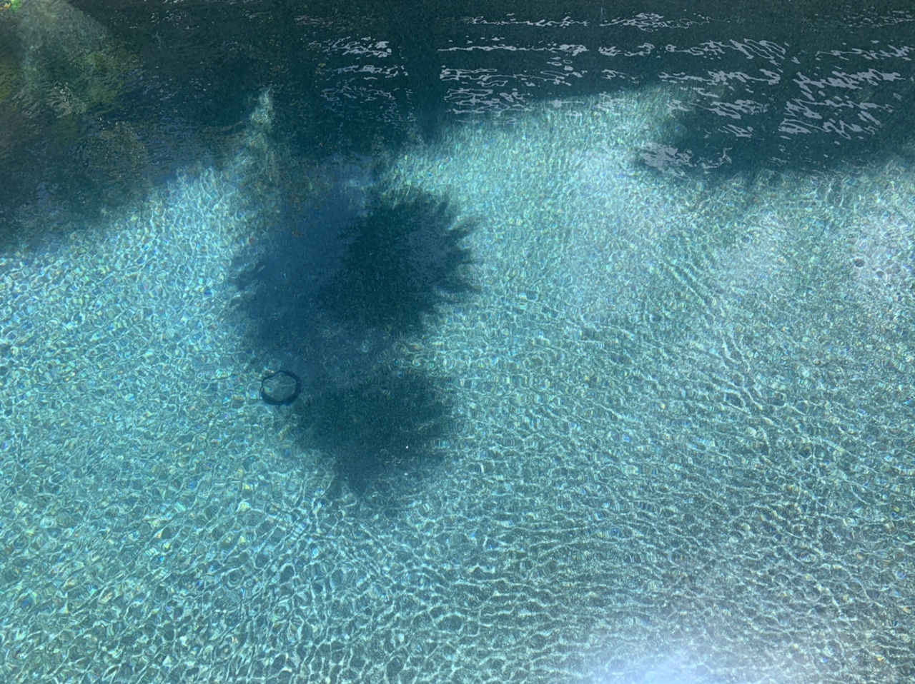 037DC5D1-42AD-4CE9-8440-74DBDC3FF067.jpeg