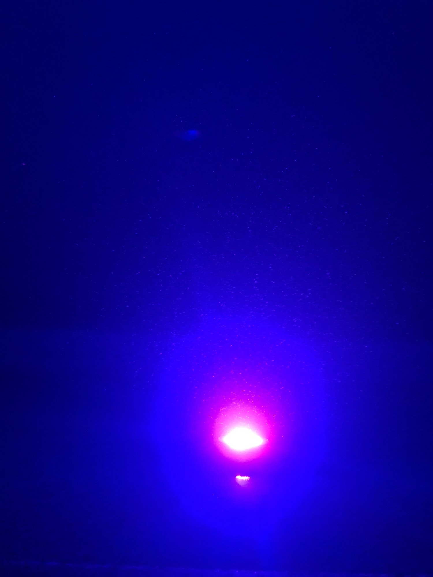 039473B8-7A50-43E4-AE6B-2A5A83362B80.jpeg