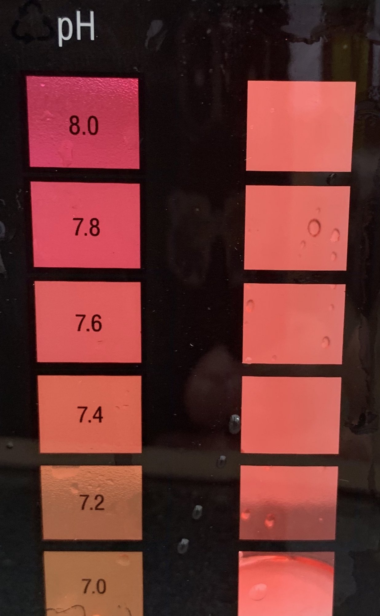 03D6007C-7ACA-407B-8509-258AD38EF5B4.jpeg