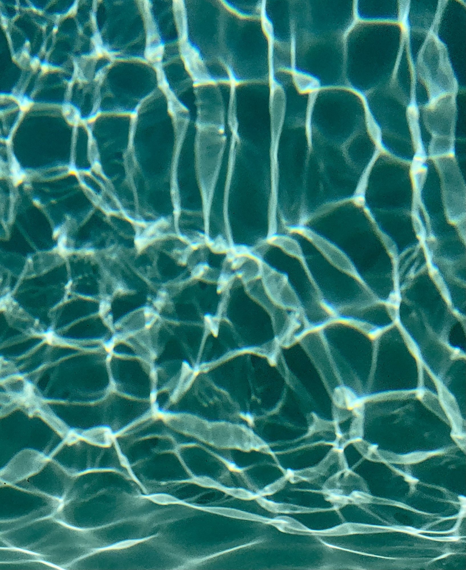 0400C274-506E-459D-B1A6-C2A40B46B24A.jpeg