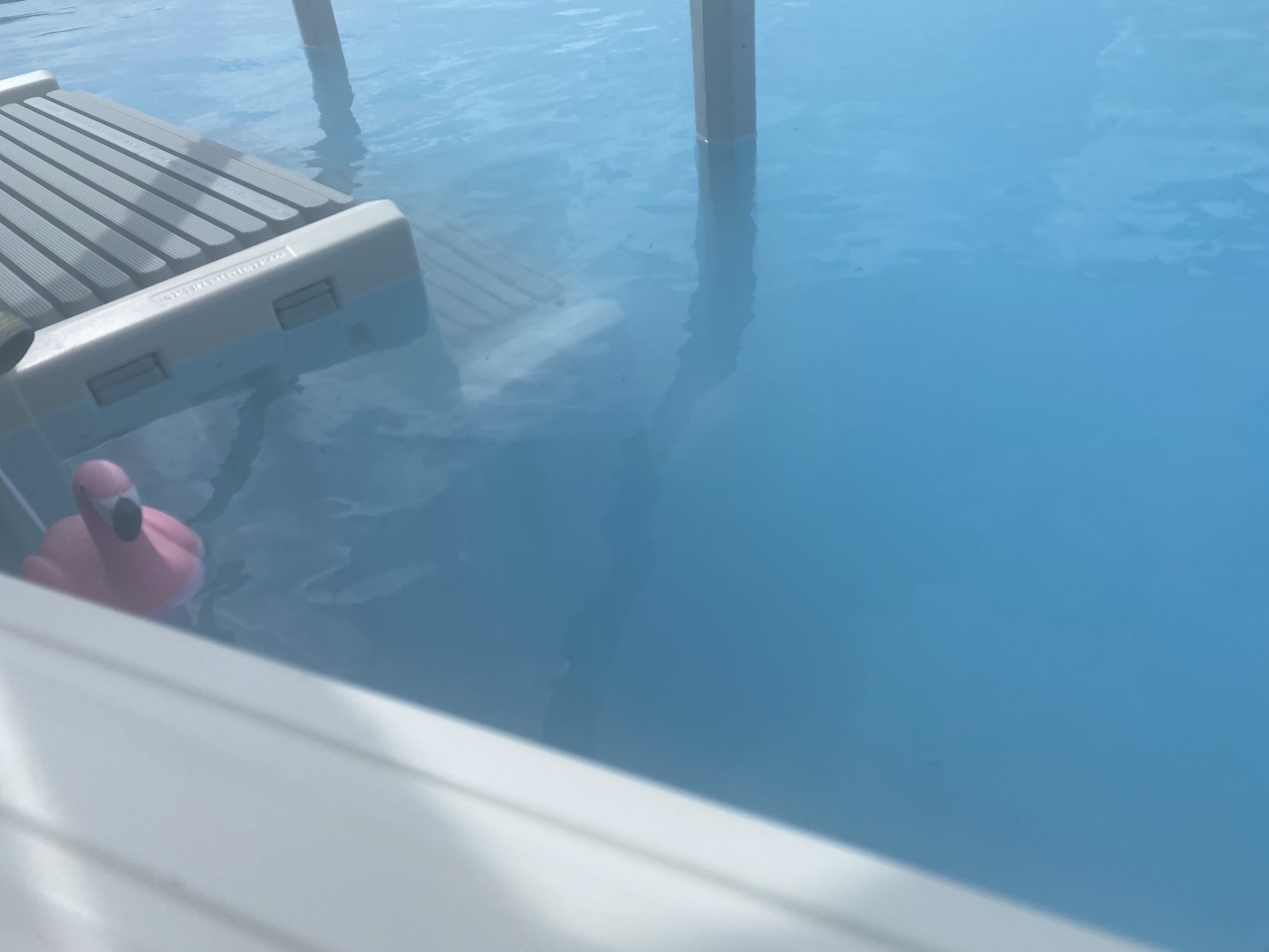 046041C0-4C9D-4E50-B35A-BB5F48C6397C.jpeg