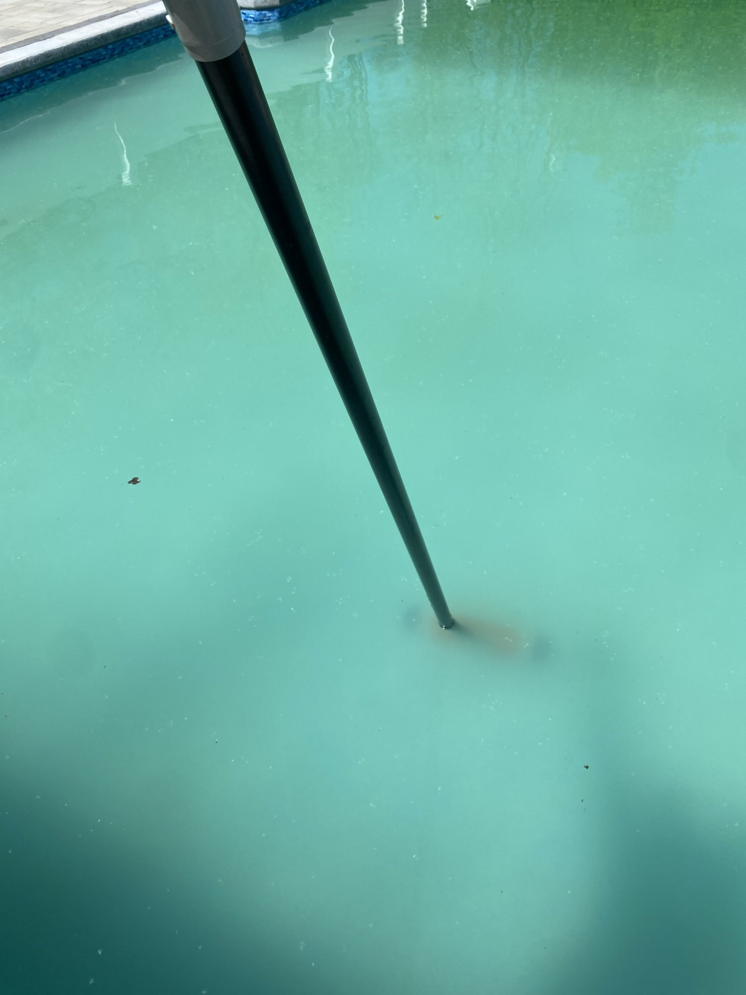 04FD6C5C-B377-4E36-90A7-E4C1F8777A40.jpeg