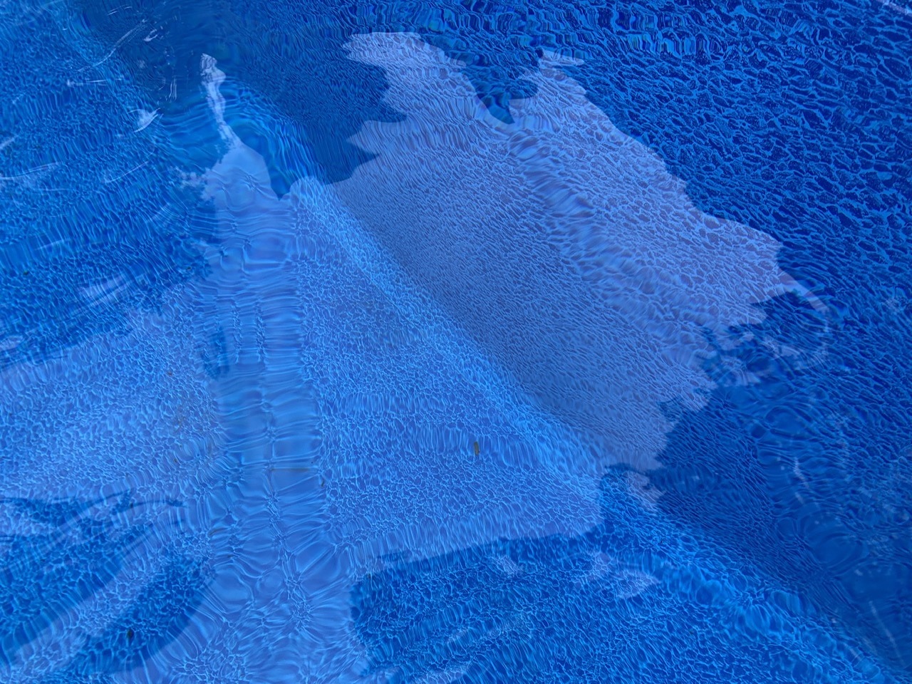 08B34B47-1813-40C5-8C52-043B9311DA26.jpeg