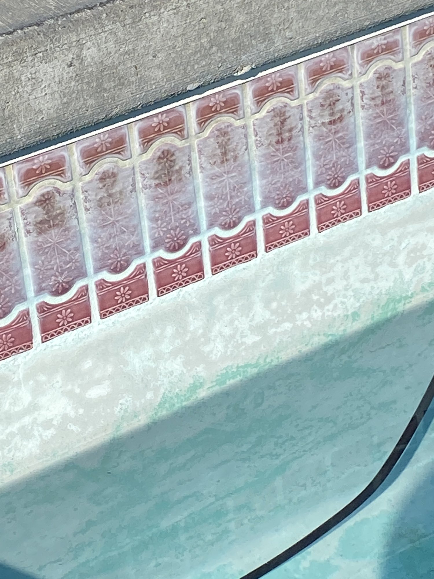 08B86518-3448-4D22-9D68-9063A4E4A901.jpeg